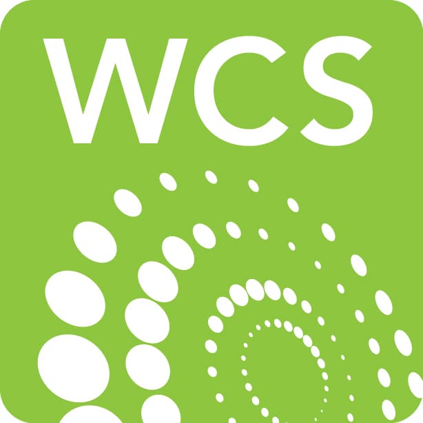 Women in Cleantech and Sustainability Hike and Network