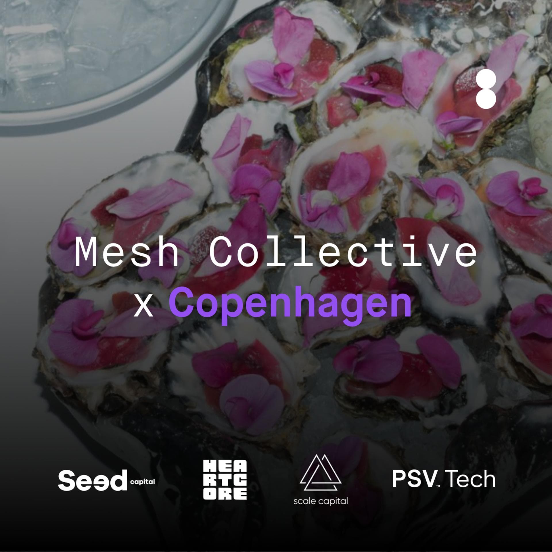 Mesh Collective X Copenhagen