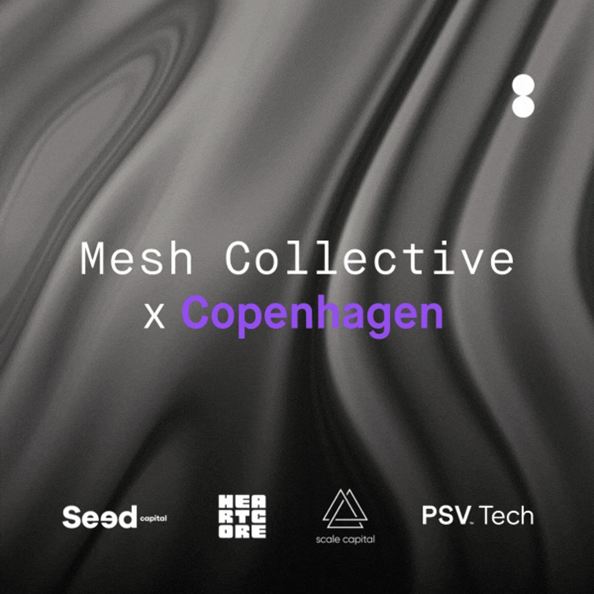 Mesh Collective X Copenhagen