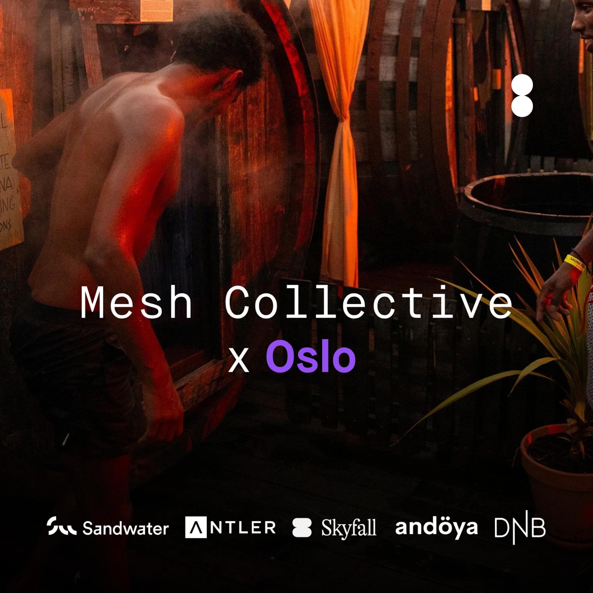 Mesh Collective X Oslo