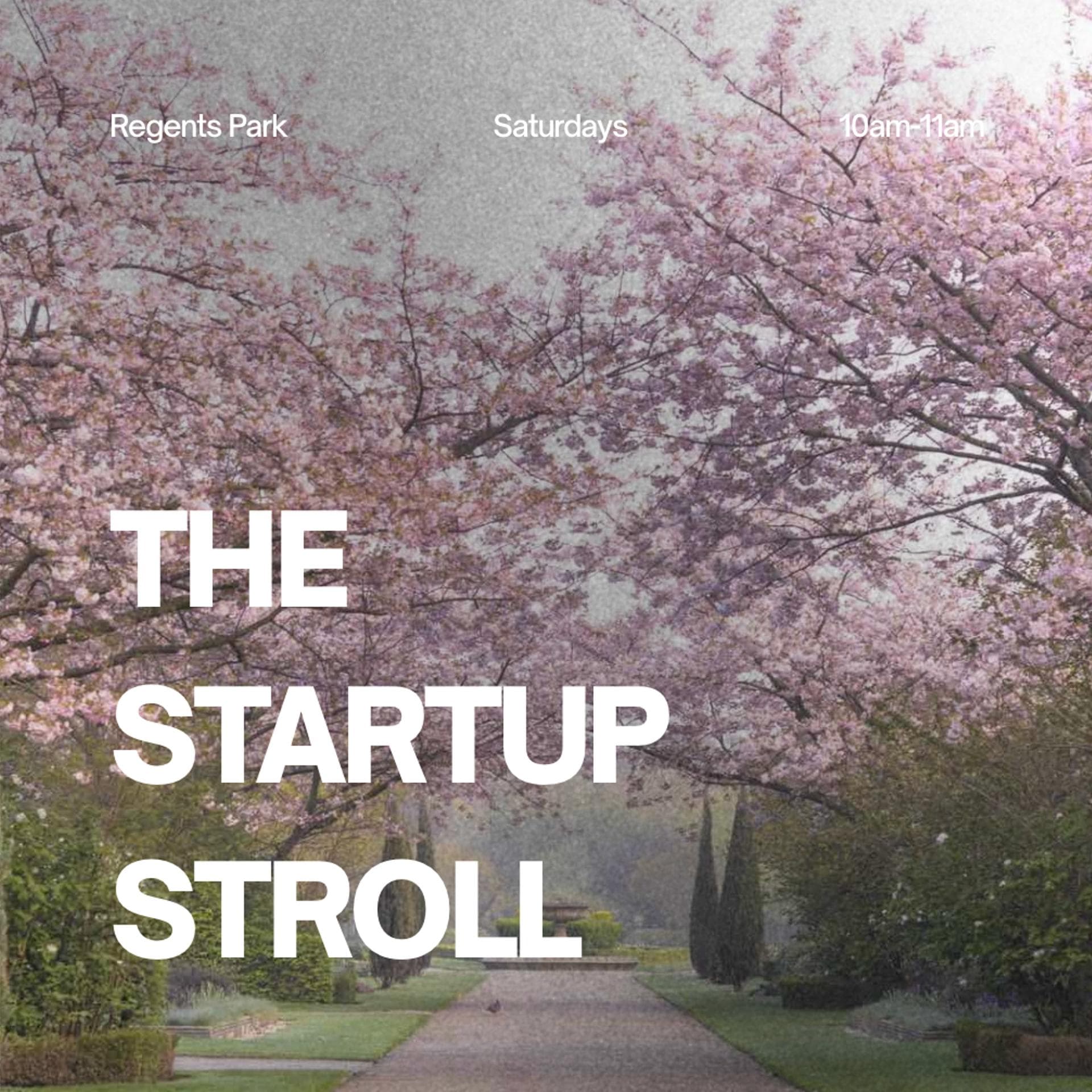 The Startup Stroll